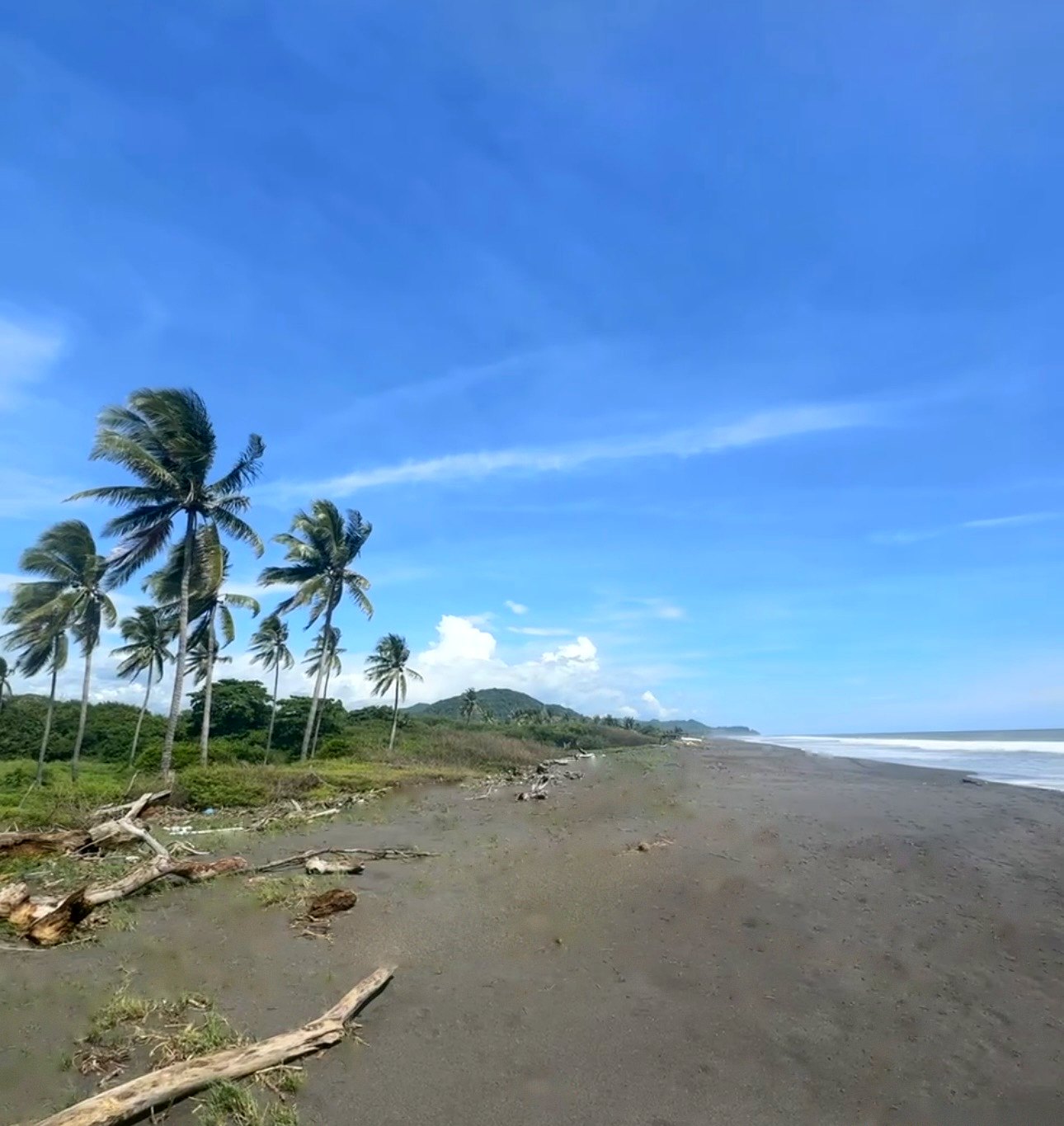15.3 Acres Beachfront · Playa Dorada · La Libertad